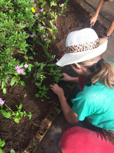 Mãe voluntária realiza plantio de flores. Fotografia por Paula Bertoli.