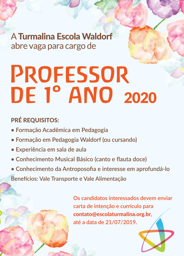 Professor de 1º Ano
