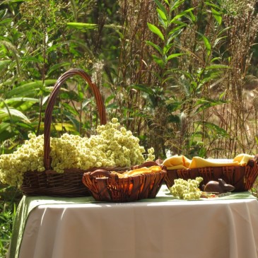 Celebração de Páscoa