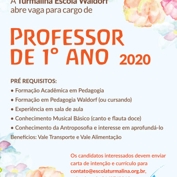 Professor de 1º Ano