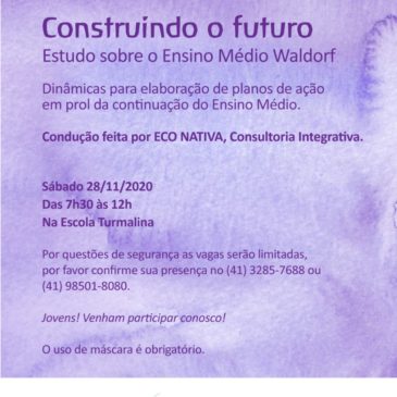 Estudo sobre o Ensino Médio Waldorf